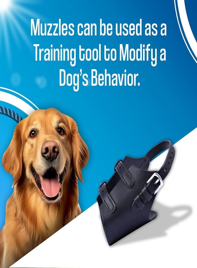 ADIL'S Adil’S Dog Muzzle, Basket Muzzle for Small Medium Large Aggressive Reactive Dogs, for Biting, Chewing and Scavenging, Perfect for Grooming and Training, Size: XS to XL, Black (XS) - Image 3
